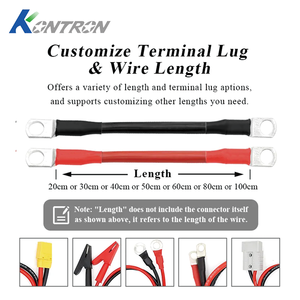2/4/6/8AWG Güneş Enerjisi Akü Şarj Cihazı PVC Bakır IP67 50V 16A Halka Terminali Araba Deniz RV - Product Image 2