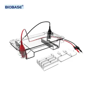 Serbatoio di elettroforesi BIOBASE Gel orizzontale biologia molecolare rilevazione del DNA separazione serbatoio di elettroforesi orizzontale per laboratorio