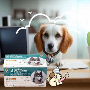 <span class=keywords><strong>Kit</strong></span> de <span class=keywords><strong>test</strong></span> rapide pour la maladie de Carré chez le chien, équipement vétérinaire à usage unique pour les soins des animaux de compagnie - Product Image 6