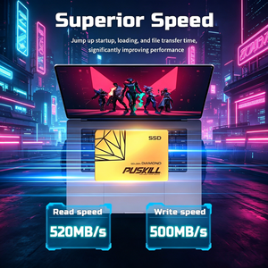 Golden 2.5 Inch SSD 1TB Internal Laptop Hard Drive Metal High Speed Read Write 501-600MB/S Ssd Hard Drive - Product Image 5
