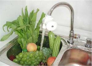 Generatore di Ozono Autonomo per Acqua, Purificatore O3 per Rubinetto Domestico, Sterilizzatore per Frutta, Capelli, Cuoio Capelluto e Viso - Product Image 4