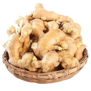 Gengibre Fresco Seco de Alta Qualidade, Gengibre Chinês, Preço de Atacado, Raiz de Gengibre Orgânico Fresco - Product Image 1