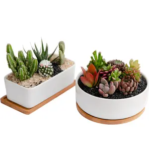 Vente flash Pots à succulentes rectangulaires et ronds en céramique blanche avec <span class=keywords><strong>soucoupe</strong></span> en bambou - Product Image 1