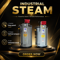 Chaudière à vapeur industrielle automatique à tubes d'eau basse pression, 100 kg/h, au gaz naturel/GPL/diesel léger, verticale, pour bois