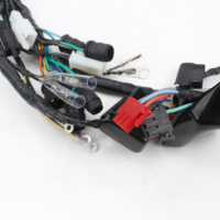 Harness Kabel Surya Tembaga Profesional dengan BMS untuk Sistem Penyimpanan Energi, Aplikasi Komputer dan Sepeda Motor