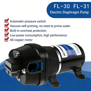 Pompe à diaphragme FL-30/FL-31 12V/24V Mini Ultra Silencieuse pour surpression d'eau, auto-amorçante, extérieure, avec interrupteur automatique intégré - Product Image 1