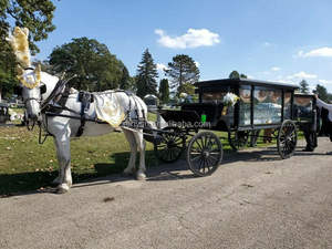 Char funéraire rétro <span class=keywords><strong>de</strong></span> style européen britannique, <span class=keywords><strong>chariot</strong></span> blanc populaire, voiture-cercueil, cercueil à chevaux, transport spécial - Product Image 5
