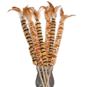 Realistic Feather Cat Teaser Durable <b>Bite</b> Resistant Toy For Kitten Play - Product Image 2