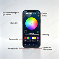Kit d'éclairage d'ambiance pour Mercedes Classe C W204 2010-2014 |   Écran dynamique Phantom à 22 LED avec contrôle par application – Version améliorée
