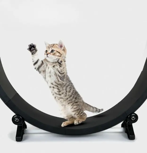 犬用家庭用トレーニング用サイレントランニングホイールEVAトレッドミル付きインタラクティブ猫登山フレーム - Product Image 2