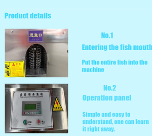 เครื่องเปิดหน้าท้องปลา<span class=keywords><strong>กะพง</strong></span>สำหรับย่าง<span class=keywords><strong>ปลา</strong></span> - Product Image 2