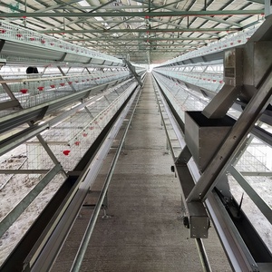 Equipo Moderno para Granjas Avícolas, Jaula de Batería de Alta Densidad de 4 Niveles, Jaula Automática Tipo A para Gallinas Ponedoras, para 10000-20000 Pollos - Product Image 1