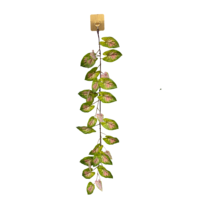 Plante artificielle suspendue de 80 cm, fausse plante grimpante verte pour mur, balcon, café, bureau, décoration intérieure