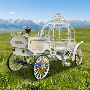 Multifunctional <b>White</b> Electric Cinderella <b>Pumpkin</b> Wedding Carriage Golden <b>Decoration</b> Customizable Metal Sightseeing Cart - Product Image 1