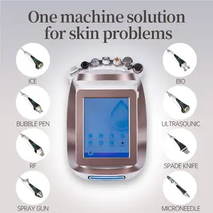 Smart Ice Blue II Skin Management System Hydro Facial Wrinkle Removing And Care Machine