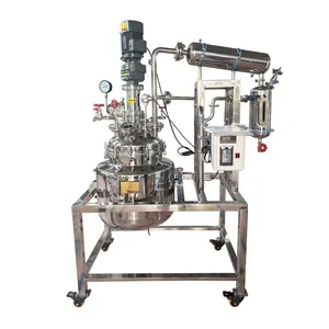 Bio 50L Chemical Pyrolysis Machine Hydrolysis Esterification Reactor