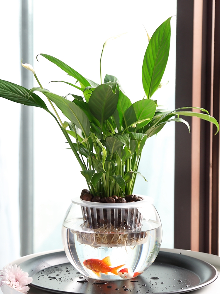 Factory Produced Wholesale Fish Tank  Aquariums & Accessories