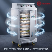 Armoire de cuisson vapeur électrique et à gaz double alimentation en SUS304 robuste pour riz et fruits de mer avec plateaux perforés solides