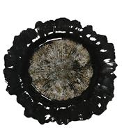 Plaque de chargeur décorative ronde de luxe moderne Nouveau matériau PP noir pour les mariages, événements et fêtes