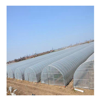 Structure de cadre métallique de serre de tunnel de film plastique à portée unique commerciale à faible coût pour les plantes agricoles