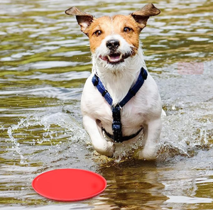 Taşınabilir hafif köpek uçan disk açık Fetch egzersiz için dayanıklı silikon eğitim oyuncak klasik tarzı çiğneme evcil hayvan malzemeleri - Product Image 4