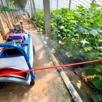 Pulvérisateur Électrique Multifonctionnel pour Serre, avec Lance de Pulvérisation, pour Tomates, Poivrons, Concombres et Lutte Antiparasitaire