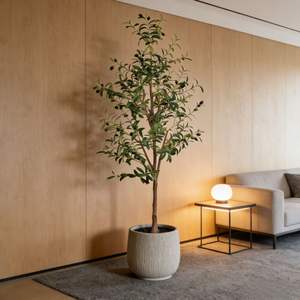 Prix de gros abordable : Arbres d'olivier artificiels de 180 cm, <span class=keywords><strong>en</strong></span> <span class=keywords><strong>pot</strong></span> amovible, pour la décoration d'angle de bureau et d'hôtel - Product Image 2