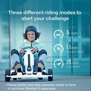 Maserati Version 40km/h Ninebot Electric Racing <strong>Go</strong> <strong>Karts</strong> Baked Varnish for Kids and Adults Pro Karting - Product Image 6
