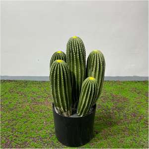 Cactus artificiel en PU de qualité supérieure, écologique, grand modèle, vert, haute simulation, plante décorative esthétique pour la remise des diplômes et la maison - Product Image 2