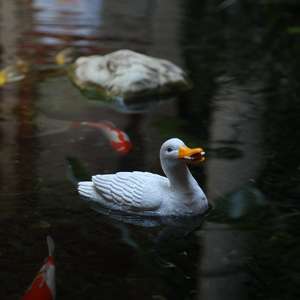 Figurine di anatra galleggiante ornamenti per la statua del Desktop del giardino fatato Statue di animali per l'arredamento di interni - Product Image 6
