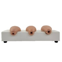 Modelo avanzado de simulación uterina para aborto inducido, 3 modelos simulados de anatomía uterina, entrenamiento en obstetricia y ginecología
