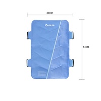 Compresse froide et chaude multifonction pour les hanches et le dos, sac de glace pour soulager la douleur, physiothérapie à domicile, coussin en flanelle rafraîchissant réutilisable, classe II
