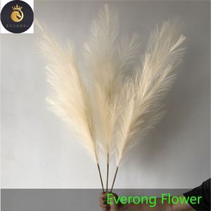 Vente en gros de <span class=keywords><strong>fleurs</strong></span> de roseau artificielles pour décoration de fête de mariage, plumes, fleur d'herbe de pampa blanche et <span class=keywords><strong>rose</strong></span> naturelle - Product Image 2