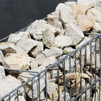 Mur de jardin en pierre de soutènement en acier Boîte de gabion en treillis métallique enduit de PVC Panier de gabion hexagonal à vendre