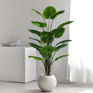 Grande Pianta Artificiale di Alocasia con Foglie Grandi in Plastica per Interni, Soggiorno e Decorazioni Nuziali - Product Image 3