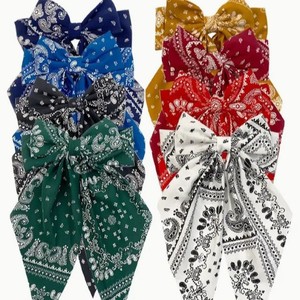 Paisley stampa tessuto capelli bandana fiocco molletta per le donne-dolce stile accessori per capelli per il ballo di San Valentino di Halloween - Product Image 4