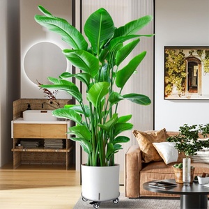 <span class=keywords><strong>Support</strong></span> de <span class=keywords><strong>plante</strong></span> <span class=keywords><strong>roulant</strong></span> en métal robuste avec roulettes, revêtement poudré, haute qualité, pour la maison et le jardin - Product Image 4