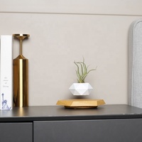 Arrangement floral d'intérieur de maison d'inspiration nordique vivant artificiel magnétique flottant en lévitation bonsaï pots intelligents jardinières