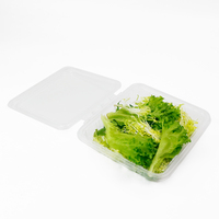 Deli Container 32Oz Huisdierencontainer Voor Producten, Snacks, Plastic Fruit Veilig T Verse Sabotage Duidelijk Clear Clamshell Containers
