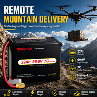 Аккумуляторный блок VIWIPOW 66.6V 18S 22000mAh 7C полутвердотельный для логистических дронов, перезаряжаемый, по заводской цене