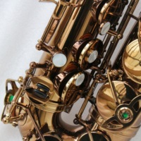 Saxophone alto professionnel Focustyle, corps en laiton, plaqué or café, tonalité EB, modèle FAS-500MKVI