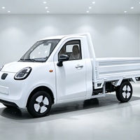Véhicule électrique à quatre roues blanc, véhicule de mobilité domestique, camionnette électrique pure à énergie nouvelle de Chine