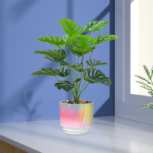 Maceta redonda <span class=keywords><strong>de</strong></span> plástico con patrón gradiente Ins, soporte para pluma <span class=keywords><strong>de</strong></span> maquillaje, conjunto <span class=keywords><strong>de</strong></span> contenedor hidropónico <span class=keywords><strong>de</strong></span> flores <span class=keywords><strong>de</strong></span> simulación - Product Image 2