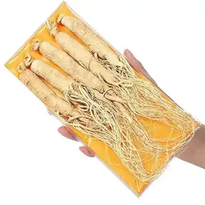 Wholesale Factory Best Quality Natural Handmade Ginseng Fermented Ginseng Root Slice For Cooking Soup