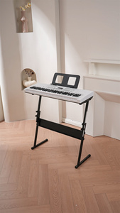 Bdmusic Chất Lượng Cao 61 Key Nhạc Cụ Bàn Phím Kỹ Thuật Số Đàn Piano Với Thiết Kế Mới Từ Trung Quốc Nhà Máy Âm Nhạc Đàn Piano Trên Bán - Product Image 6