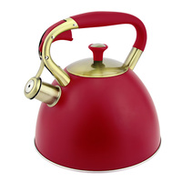 Nouveau design de théières et de bouilloires service à thé bouilloire à sifflet en acier inoxydable théières à eau chaude pour restaurant hôtel cuisine cuisinière