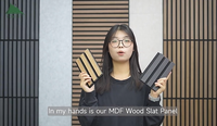 PENJUALAN PANAS Akupanel Kustom dengan Lampu LED Panel Kayu Plafon Peredam Kebisingan Panel Dinding Kayu Akustik