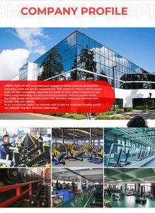 <b>Ski</b> Factory Support Oem Hot Selling Wholesale Price Equipment Fitness Commercial <b>Ski</b> Machine <b>Trainer</b> and Skier - Product Image 5