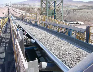 China Automatische Minerale Erts Verticale Transportband Prijs