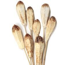 ฝักมะฮอกกานีคุณภาพสูงสำหรับตกแต่งแบบทำมือดอกไม้สำหรับงานแต่งงานบ้านงานอีเวนต์สำนักงานคอลเลกชันดอกไม้แห้ง - Product Image 5